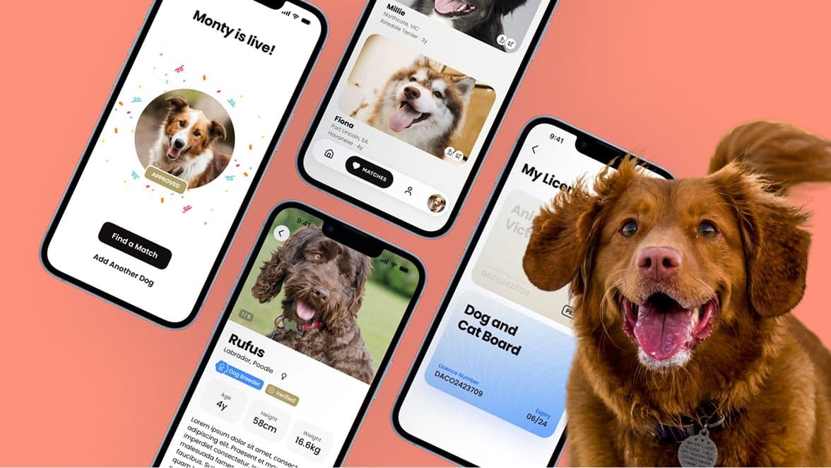 BreedBuddies app screens showing dog profiles, match alerts and a breeder licence card beside a dog